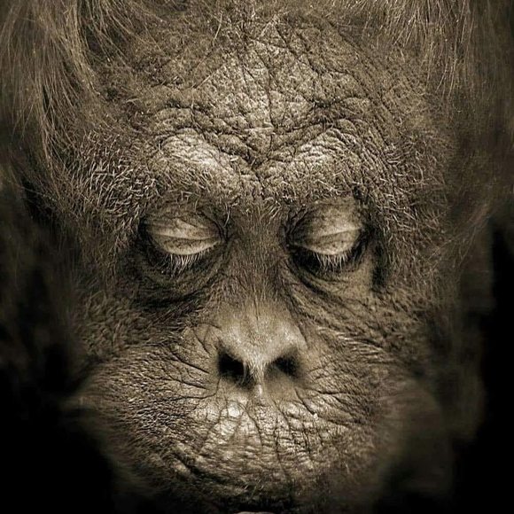 Meet your Posher, Kandice - Picture 1 of 1